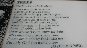 trees poem